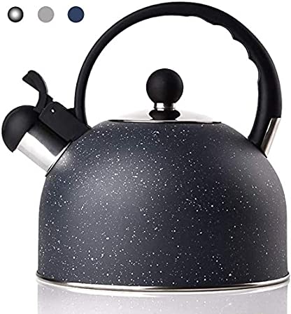 Whistling Tea Kettle with iCool – Handle